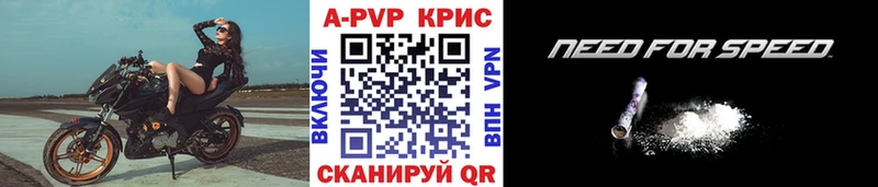 omg как войти  Каргополь  Альфа ПВП СК 
