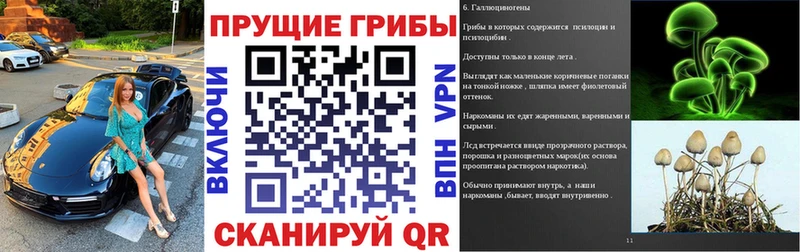 Псилоцибиновые грибы Cubensis  Каргополь 